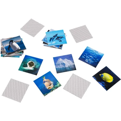 Afbeelding van Memory Ocean