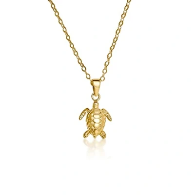 Afbeelding van Mary &amp; Jules Turtle ketting met schildpad, 925 Sterling zilver, verguld, gouden voor dames schildpadhanger, goud van gerecycled vrouwen en meisjes, 45 cm, zilver