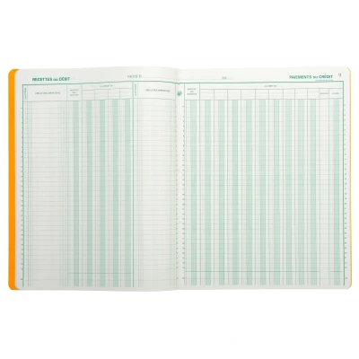 Afbeelding van EXACOMPTA Piqre &quot;Journal de caisse ou banque&quot;, 320 x 250 mm VE = 1