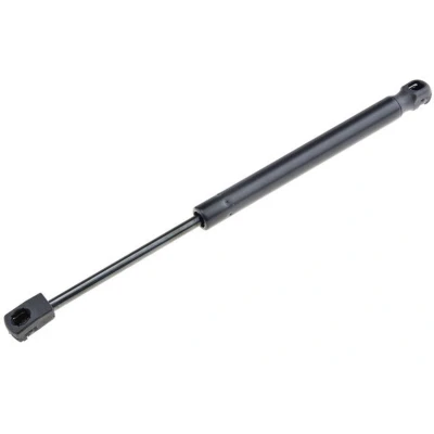 Afbeelding van Gasveer, motorkap NTY AE BM 021