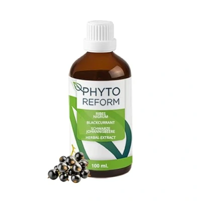 Afbeelding van Aalbes (Ribes Nigrum) 100ml Phytoreform