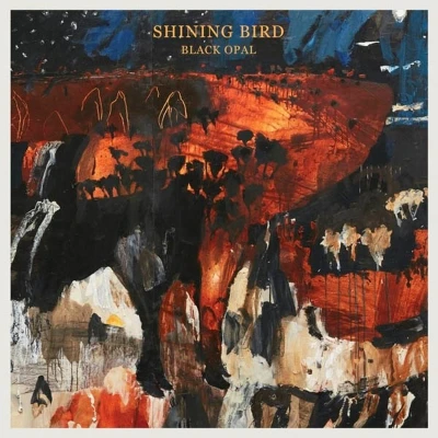Afbeelding van Shining Bird Black Opal (LP)
