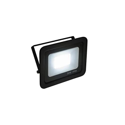 Afbeelding van Eurolite Led Breedstraler en Bouwlamp IP FL 30 SMD Wit (koudwit)
