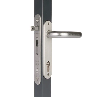 Afbeelding van Insteekslot Fortylock, Fiftylock of Sixtylock doornmaat 20 mm, profiel ? 40 mm