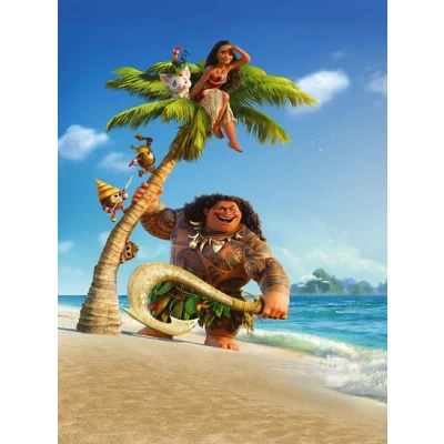 Afbeelding van Komar Into Adventure Moana and Maui XXL2 801