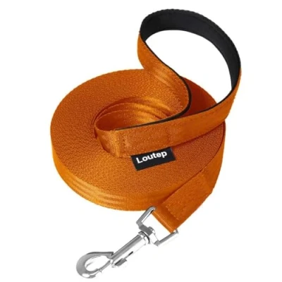 Afbeelding van Loutep Trainingsleiding voor honden 3 m, 5 10 15 20 25 30 sterk nylon touw, extra lange lijn, hondenriem met gewatteerd handvat grote, middelgrote en kleine puppyterugroepactie,