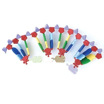 Afbeelding van Molymod RNA Model, 24 Bases, miniDNA® Kit