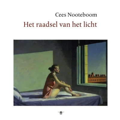 Afbeelding van het raadsel van licht (Hardback)