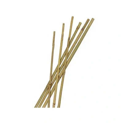 Afbeelding van Nature Bamboestok H180cmxø14 16mm 3 Stuks