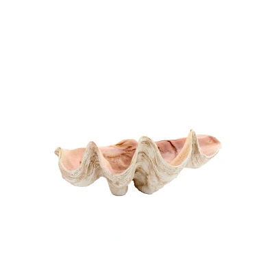 Afbeelding van Light &amp; Living Ornament SHELL 41x25x17cm Bruin