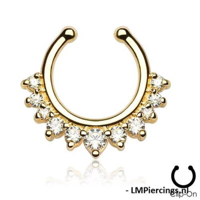 Afbeelding van Fake piercing gold plated