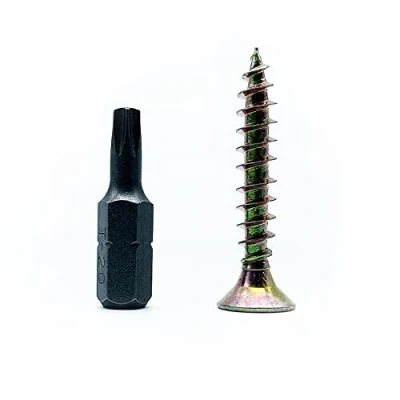 Afbeelding van DOJA Barcelona Houtvertragende Schroeven met Torx bits 100 Houtschroeven 4x60mm + 1 T20 Bit Verzonken kop Gegalvaniseerd staal Set Tip