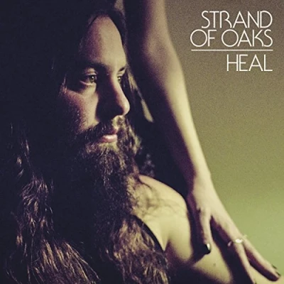 Afbeelding van Strand Of Oaks Heal (CD)