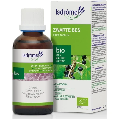 Afbeelding van Zwarte bes tinctuur bio 50 ml