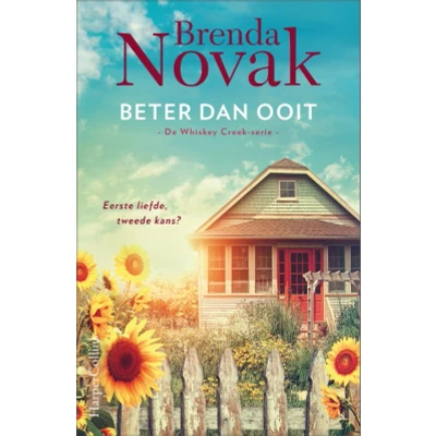 Afbeelding van Beter dan ooit