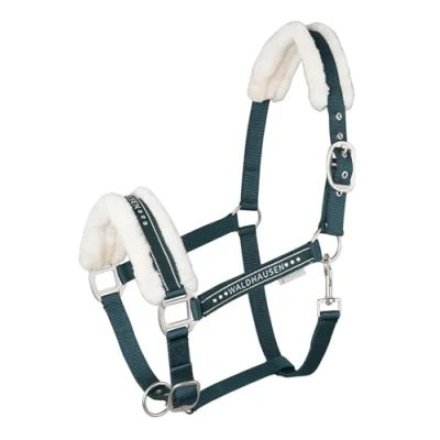 Afbeelding van Elegant Halter Pony