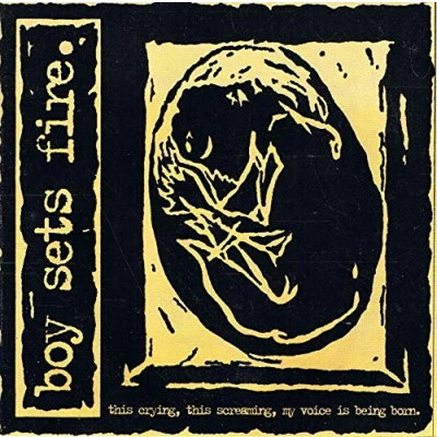 Afbeelding van Boy Sets Fire This Crying, Screaming, My Voice Is Being Born (CD)