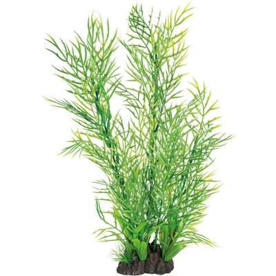Afbeelding van Superfish Art plant Ceratopteris XL