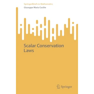 Afbeelding van Scalar Conservation Laws