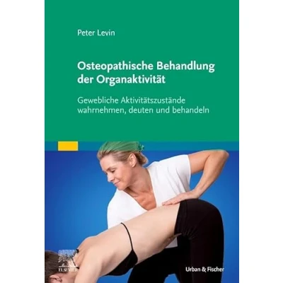 Afbeelding van Osteopathische Behandlung der Organaktivität: Gewebliche Aktivitätszustände wahrnehmen, deuten und behandeln