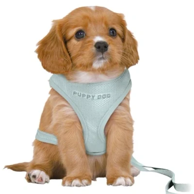 Afbeelding van Trixie Hondentuig Junior Puppy Softtuig Met Riem Mintgroen 36 50X1 CM / 2 MTR