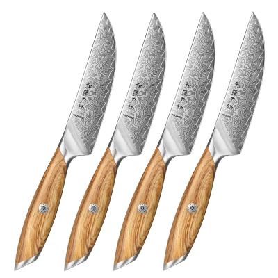 Afbeelding van HEZHEN X01 Steakmessen set