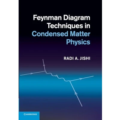 Afbeelding van Feynman Diagram Techniques in Condensed Matter Physics