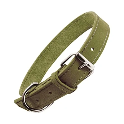 Afbeelding van Dog collar Gloria Oasis Green (70 x 3 cm)