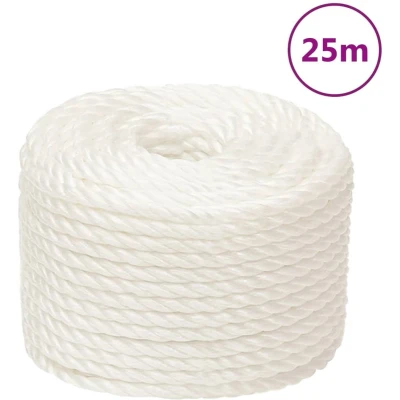 Afbeelding van vidaXL Werktouw 10 mm 25 m polypropeen wit
