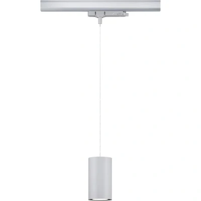 Afbeelding van Paulmann Kratos 96603 LED hanglamp 9 W Zilver