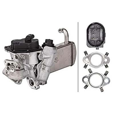 Afbeelding van AGR modul HELLA 6NU 358 167 051