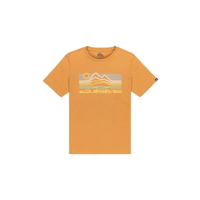 Afbeelding van Quiksilver T shirt met korte mouwen EV Light Waves SS bruin 12