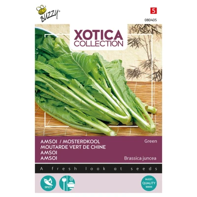 Afbeelding van Xotica Groene Amsoi of Mosterdkool