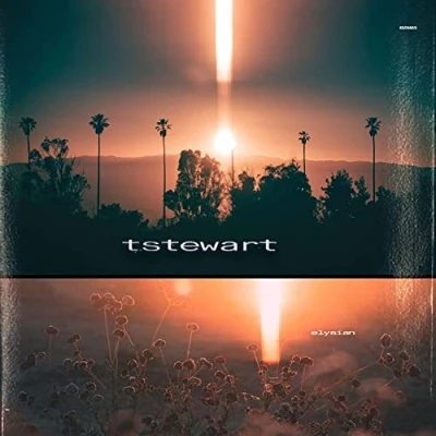 Afbeelding van Machinedrum Tstewart Elysian (CD)