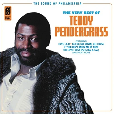 Afbeelding van The Very Best Of Teddy Pendergrass