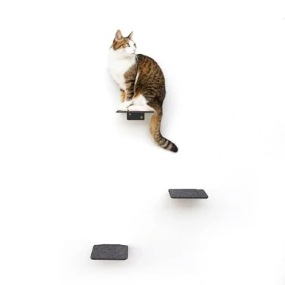 Afbeelding van LucyBalu® STEPS XL Kattentrap voor binnen en buiten set van 3 kattenklimwand katten tot 10 kg kattenladder anti slip coating treden wandbevestiging 24 x 20 cm antraciet