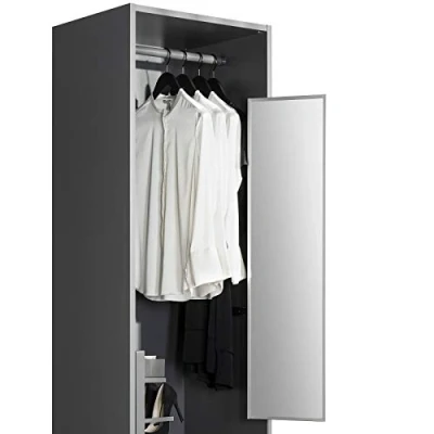 Afbeelding van Kastspiegel uitschuifbaar 1155 x 305 mm