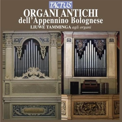 Afbeelding van Liuwe Tamminga Organ Organi Antichi Dell Appennino Bolog (CD)