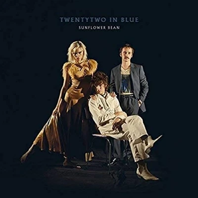 Afbeelding van Twentytwo In Blue