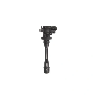 Afbeelding van Bobine DELPHI GN10191 12B1