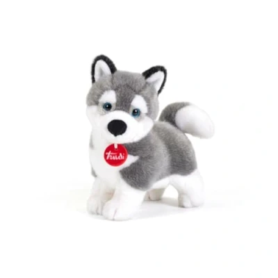 Afbeelding van Trudi TUD22271 Husky Marcus Small