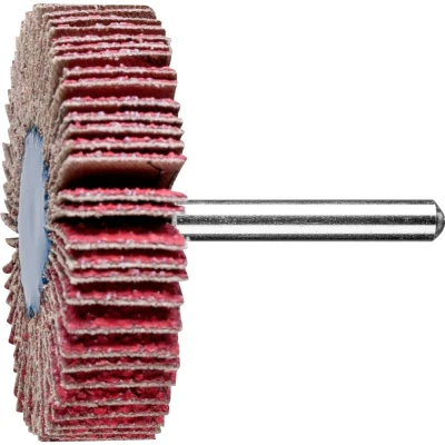 Afbeelding van PFERD 47802872 Lamellenschijf Diameter 60 mm 10 stuk(s)