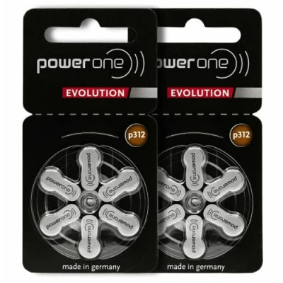 Afbeelding van 10 X Power One Evolution p312