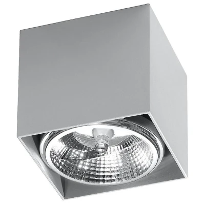 Afbeelding van Sollux Lighting Plafondspot BLAKE grijs