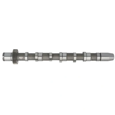 Afbeelding van Nokkenas FRECCIA CM05 2189