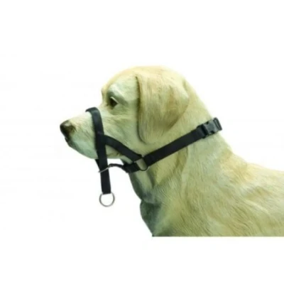 Afbeelding van Bz correctiehalsband voor honden zwart maat s