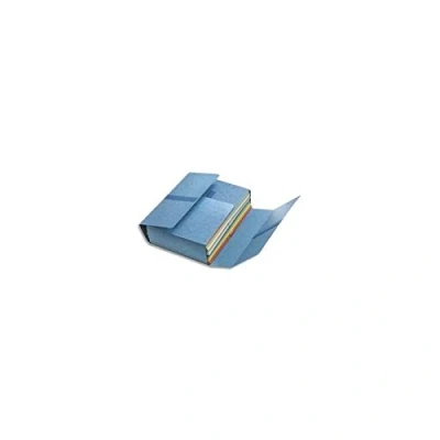 Afbeelding van Fast Rillet snelhechter met 4 klittenbandsluitingen, 10 stuks Blauw