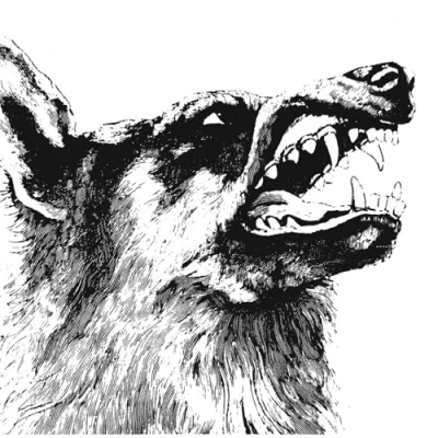 Afbeelding van Crippled Black Phoenix I, Vigilante (LP)