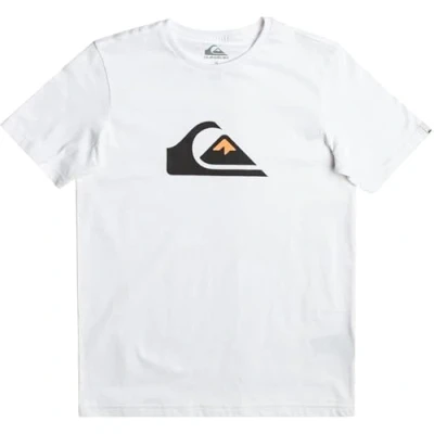 Afbeelding van Quiksilver Complogo BYJ0 Tshirt print, Heren, Maat: Large, White