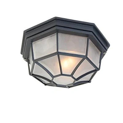 Afbeelding van QAZQA Landelijke plafondlamp donkergrijs 26,5 IP44 Bri